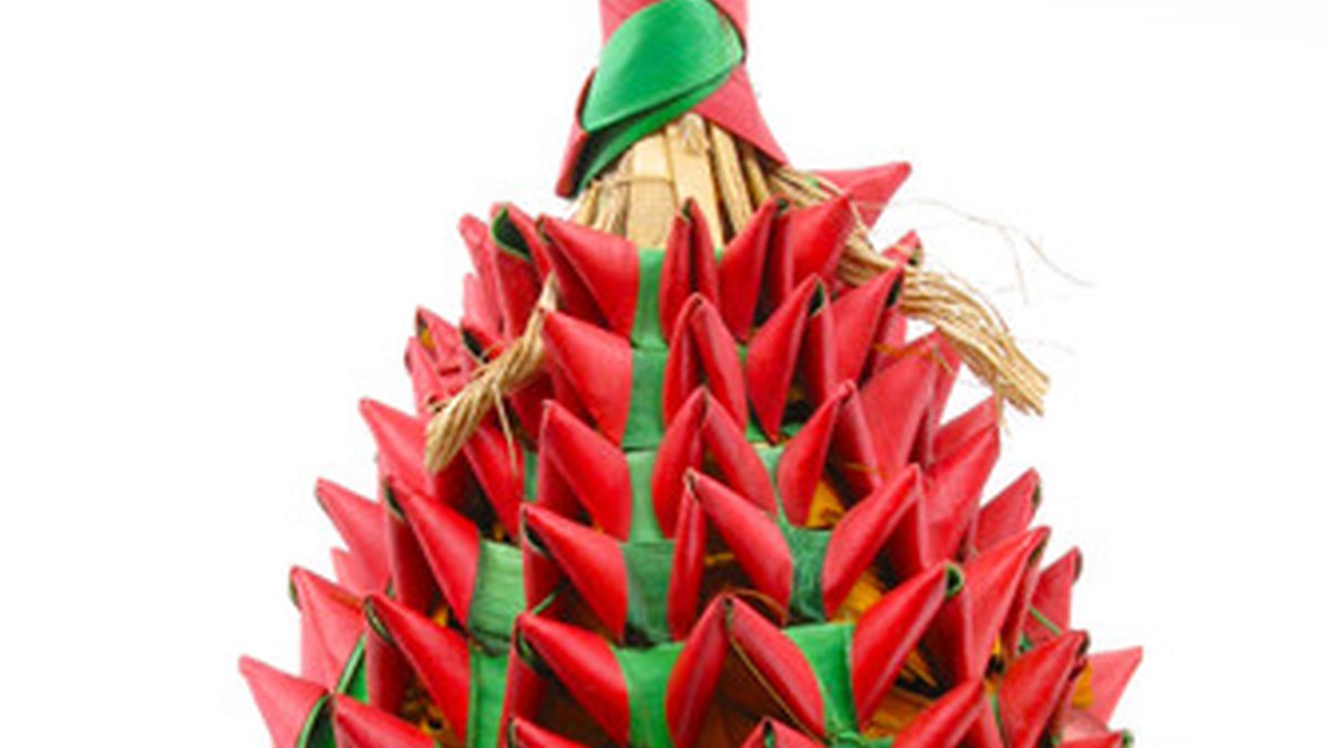 Top 10 Pet Bird Toys & Enrichment Compared by Species (2026)