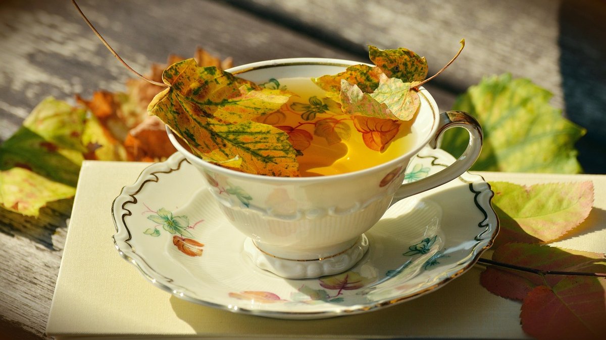 Chinese White and Yellow Teas: The Rare Categories Explained
