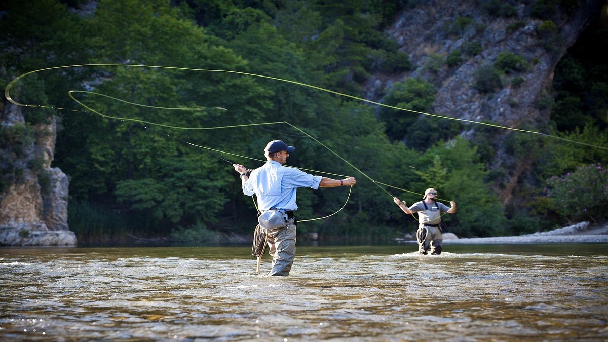 Daiwa: Complete Brand Guide and Flagship Products
